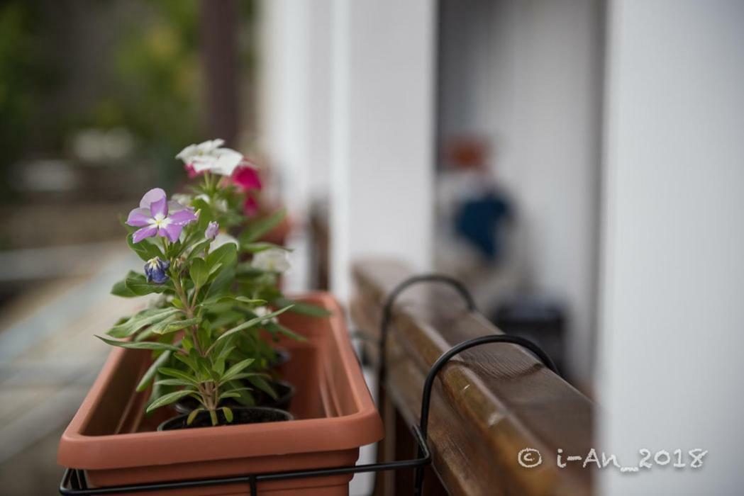 Vasiliki Guest House Pedhoulas Luaran gambar