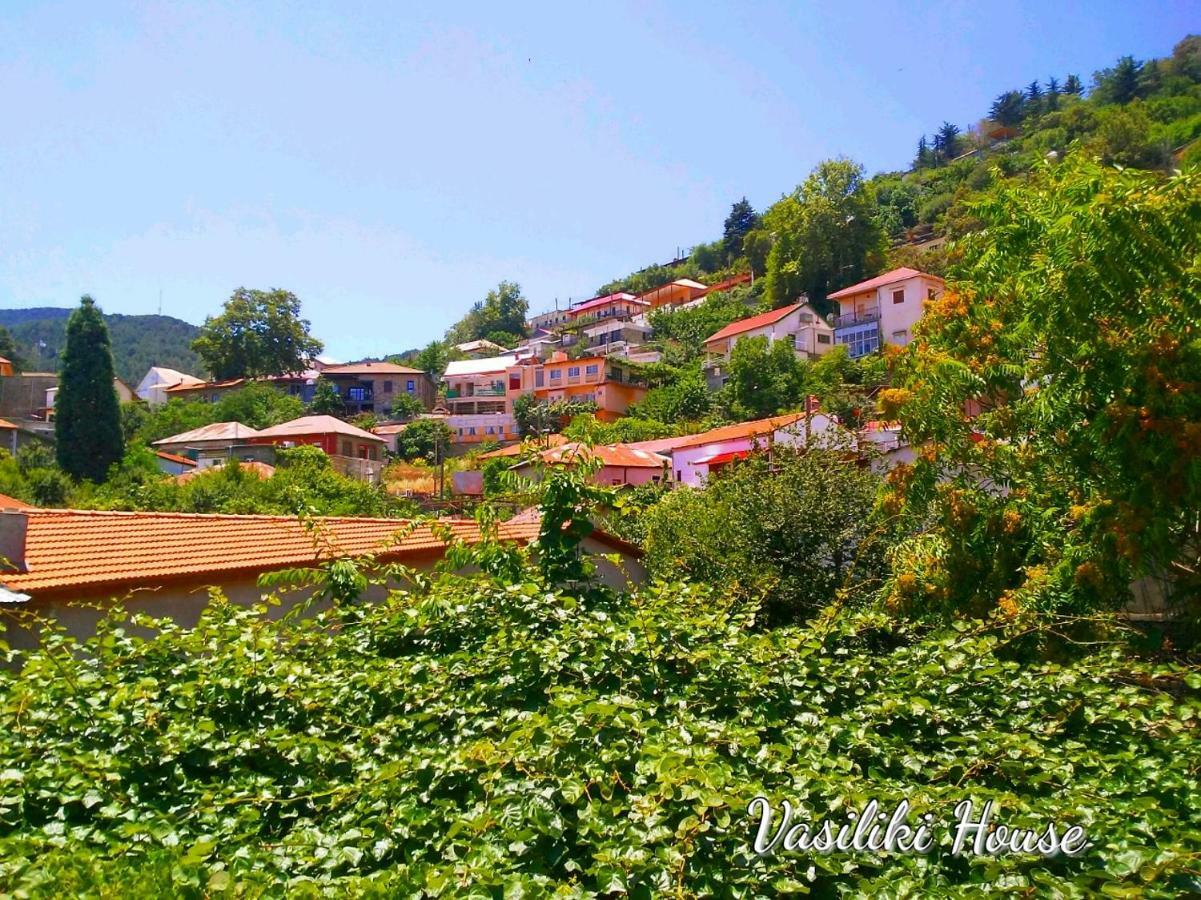 Vasiliki Guest House Pedhoulas Luaran gambar